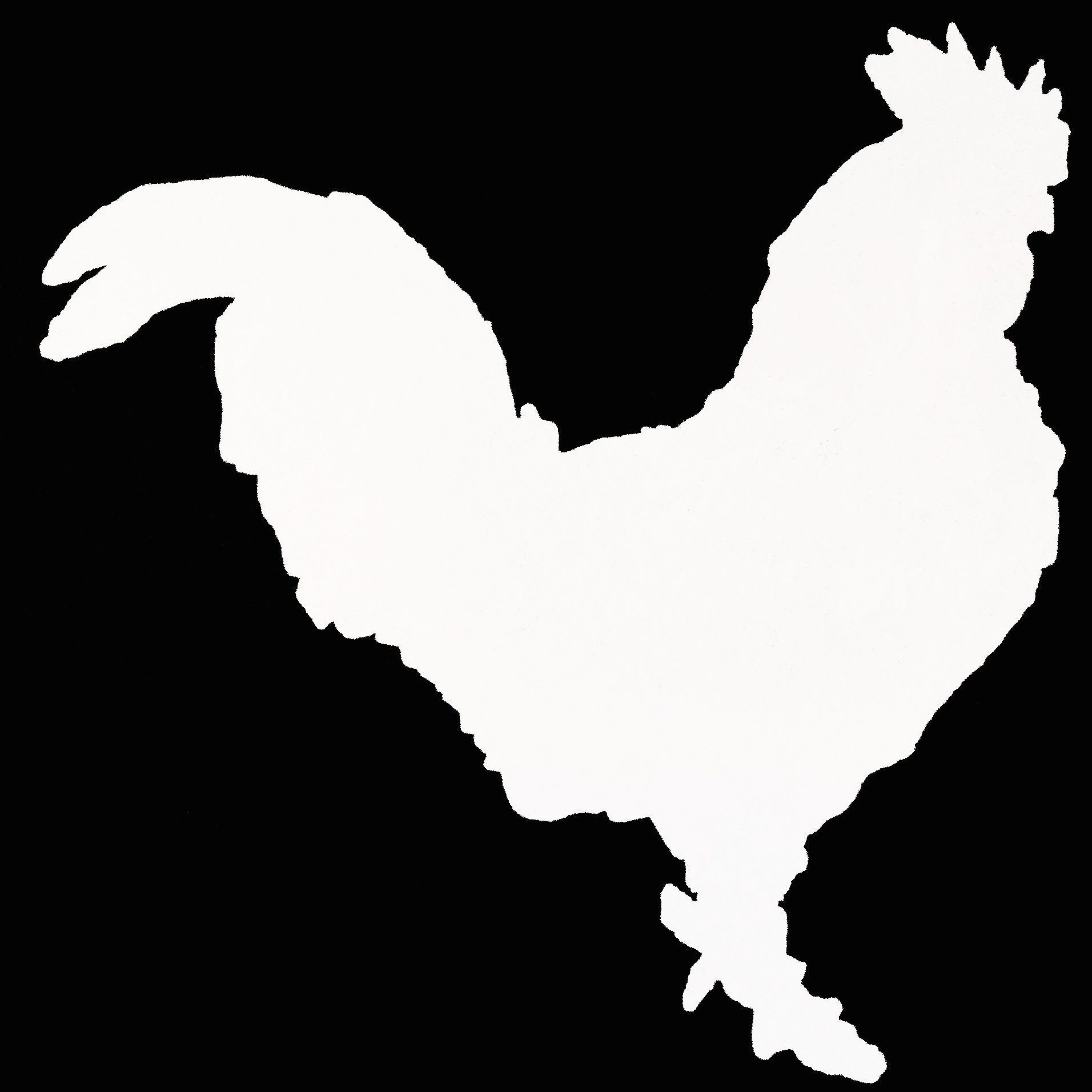 White Rooster Studio