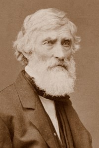 Portraits of Artists from Archives Of American Art, Smithsonian Institution