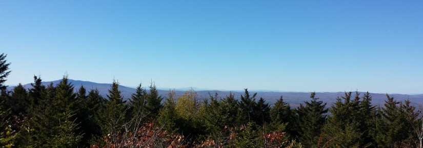 20191019_140216 crop