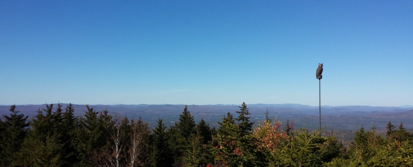 20191019_140221 crop