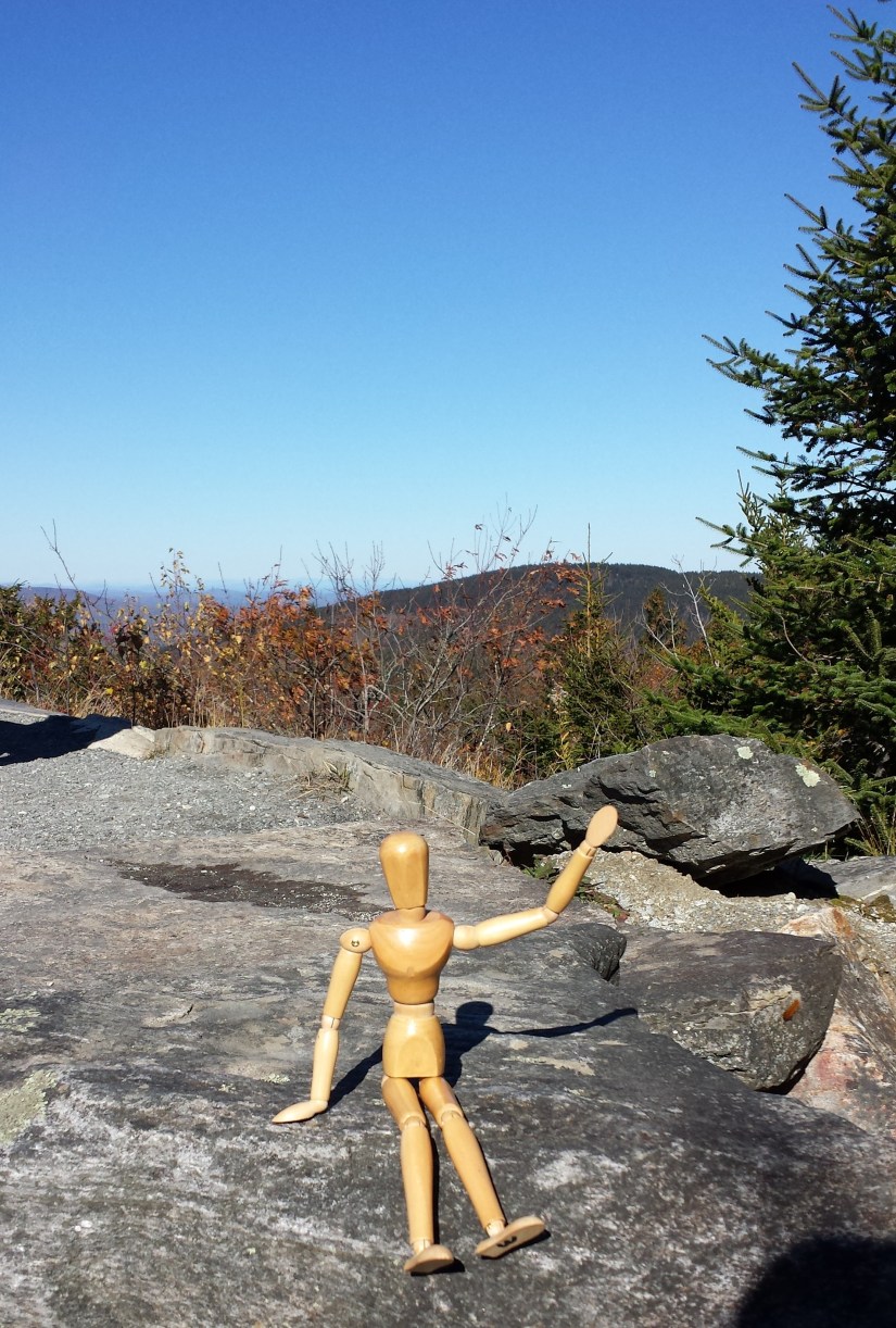 20191019_141305 crop