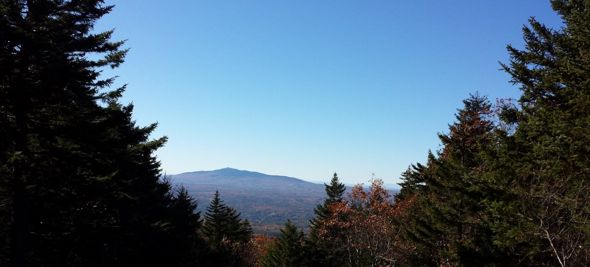 20191019_143116 crop.jpg